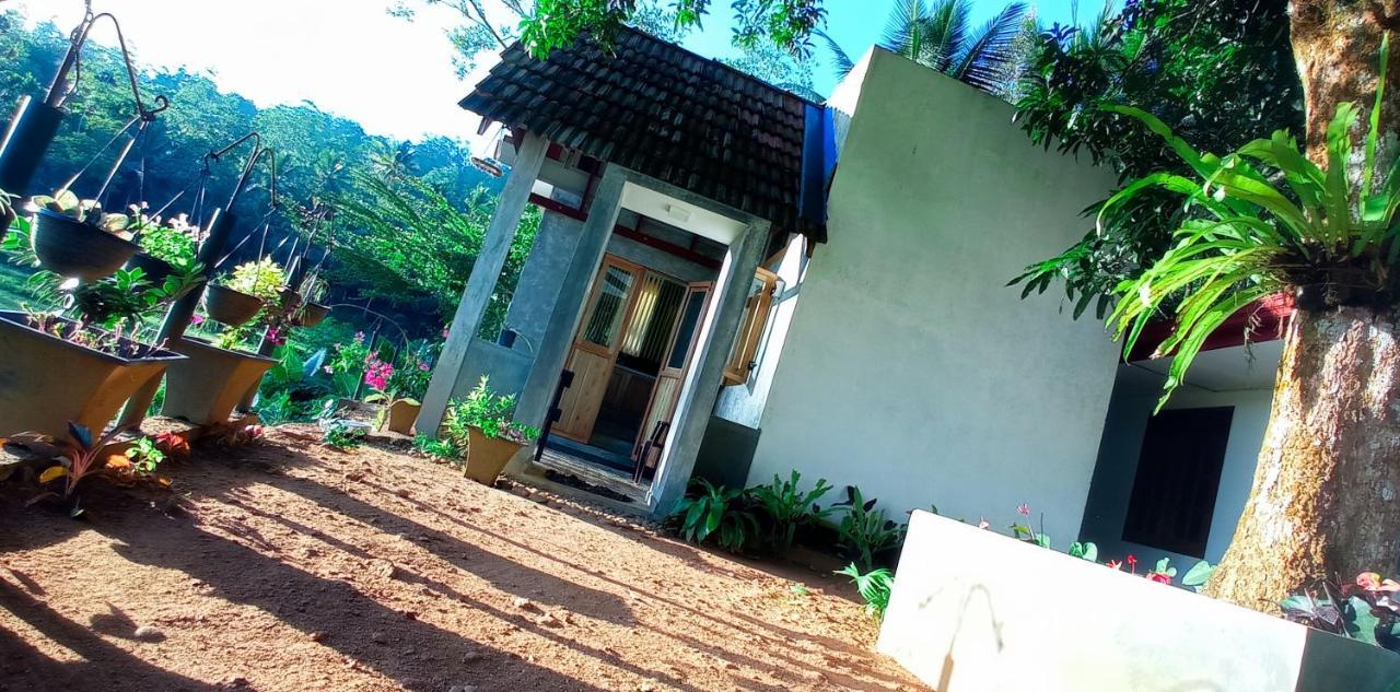 Rain Forest Star Deniyaya Exterior foto