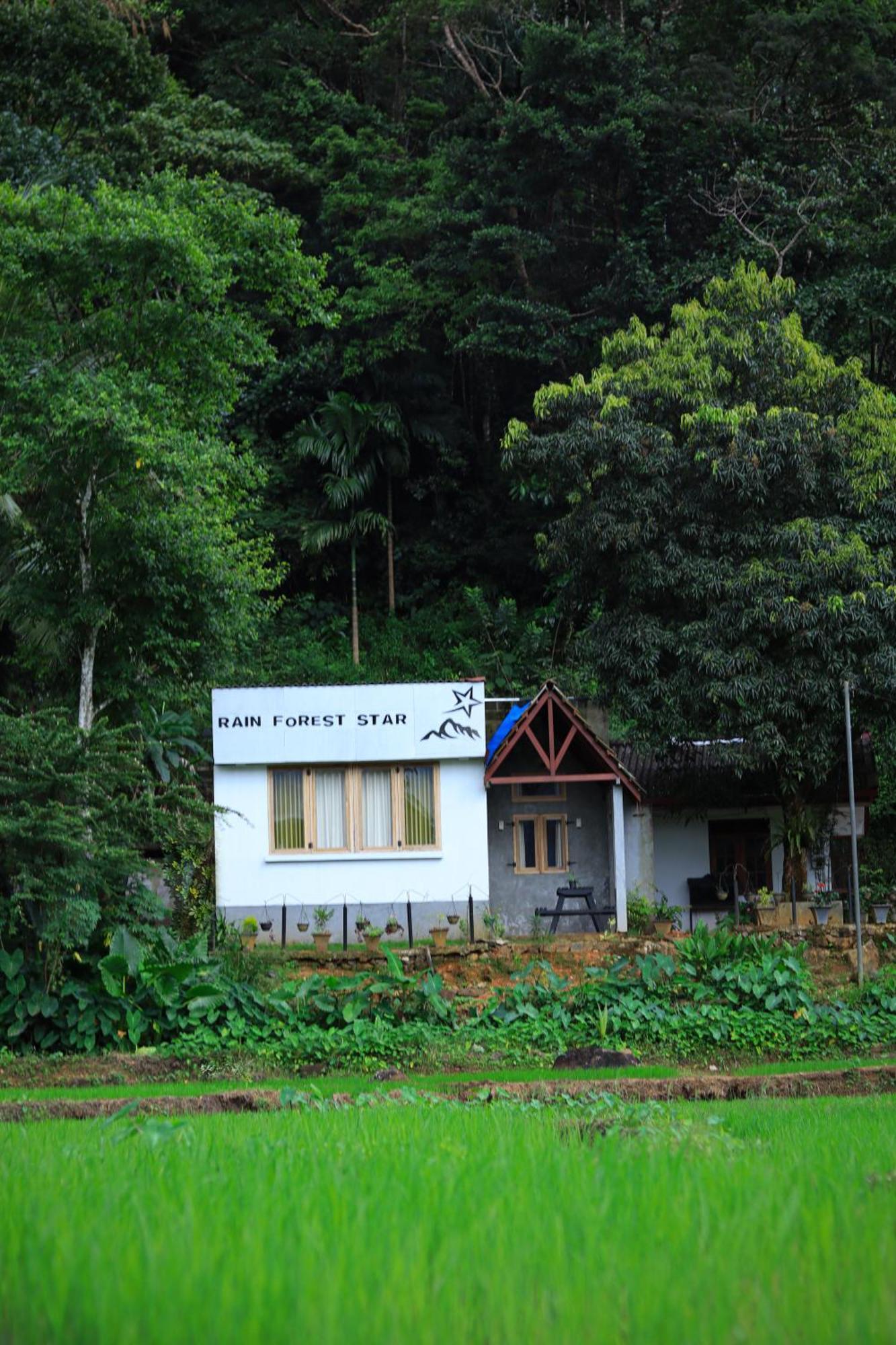 Rain Forest Star Deniyaya Exterior foto
